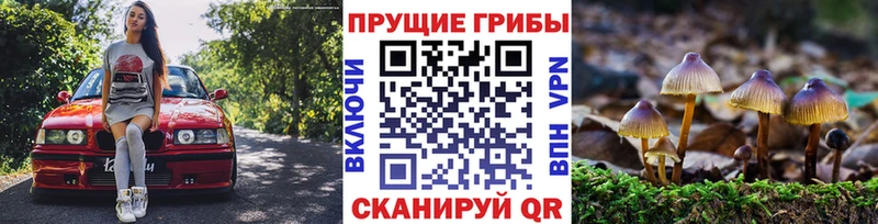 как найти наркотики  Белозерск  Галлюциногенные грибы мухоморы 